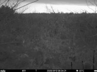 Jan 12 2025  6:34:21, #01