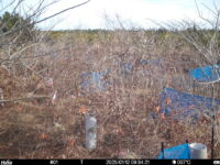 Jan 12 2025  9:34:20, #01