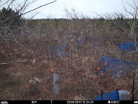 Jan 12 2025 12:34:21, #01