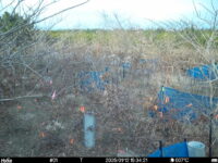 Jan 12 2025 15:34:21, #01