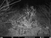 Jan 13 2025  0:34:20, #01