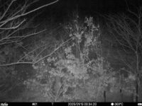 Jan 13 2025  3:34:20, #01