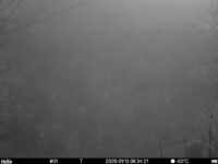 Jan 13 2025  6:34:21, #01
