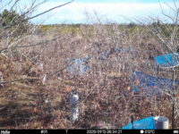 Jan 13 2025  9:34:21, #01