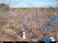 Jan 13 2025 12:34:21, #01