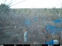Jan 13 2025 15:34:21, #01