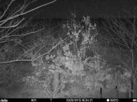 Jan 13 2025 18:34:21, #01