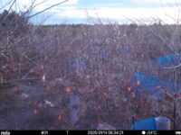 Jan 14 2025  6:34:21, #01