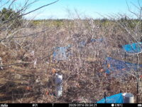 Jan 14 2025  9:34:21, #01