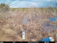 Jan 14 2025 12:34:21, #01