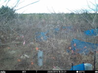Jan 14 2025 15:34:20, #01