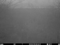 Jan 15 2025  6:34:21, #01