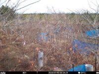 Jan 15 2025  9:34:20, #01