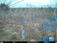 Jan 15 2025 12:34:21, #01