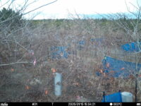 Jan 15 2025 15:34:21, #01