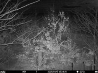 Jan 15 2025 18:34:21, #01
