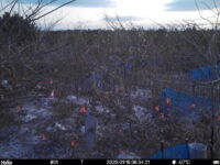 Jan 16 2025  6:34:21, #01