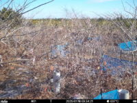 Jan 16 2025  9:34:21, #01