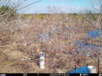 Jan 16 2025 12:34:20, #01