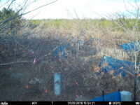 Jan 16 2025 15:34:21, #01