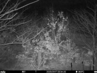 Jan 17 2025  3:34:20, #01