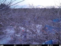 Jan 17 2025  6:34:21, #01