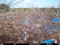 Jan 17 2025  9:34:21, #01