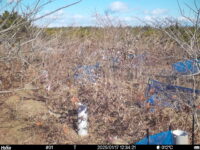 Jan 17 2025 12:34:21, #01