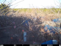 Jan 17 2025 15:34:20, #01