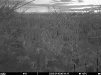 Jan 18 2025  6:34:21, #01