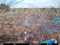 Jan 18 2025  9:34:20, #01