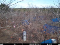 Jan 18 2025 12:34:21, #01