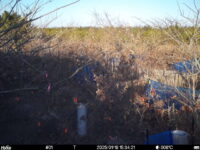 Jan 18 2025 15:34:21, #01