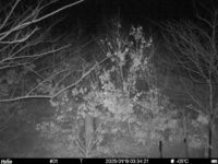 Jan 19 2025  3:34:21, #01