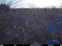 Jan 19 2025  6:34:21, #01