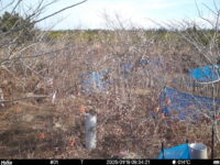 Jan 19 2025  9:34:21, #01