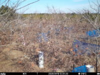 Jan 19 2025 12:34:20, #01