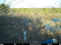 Jan 19 2025 15:34:21, #01