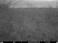 Jan 20 2025  6:34:20, #01