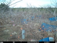 Jan 20 2025  9:34:21, #01