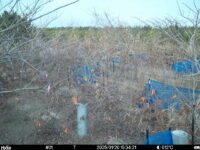 Jan 20 2025 15:34:21, #01
