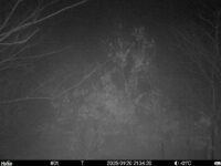 Jan 20 2025 21:34:20, #01