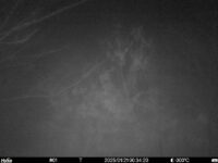Jan 21 2025  0:34:20, #01