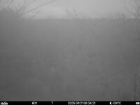 Jan 21 2025  6:34:21, #01