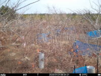 Jan 21 2025  9:34:20, #01