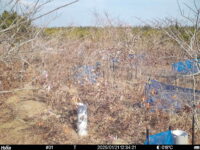 Jan 21 2025 12:34:21, #01