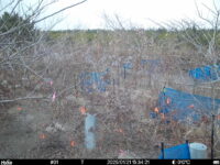 Jan 21 2025 15:34:21, #01