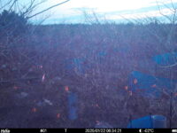 Jan 22 2025  6:34:21, #01