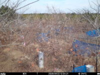 Jan 22 2025 12:34:20, #01