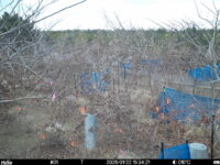 Jan 22 2025 15:34:21, #01